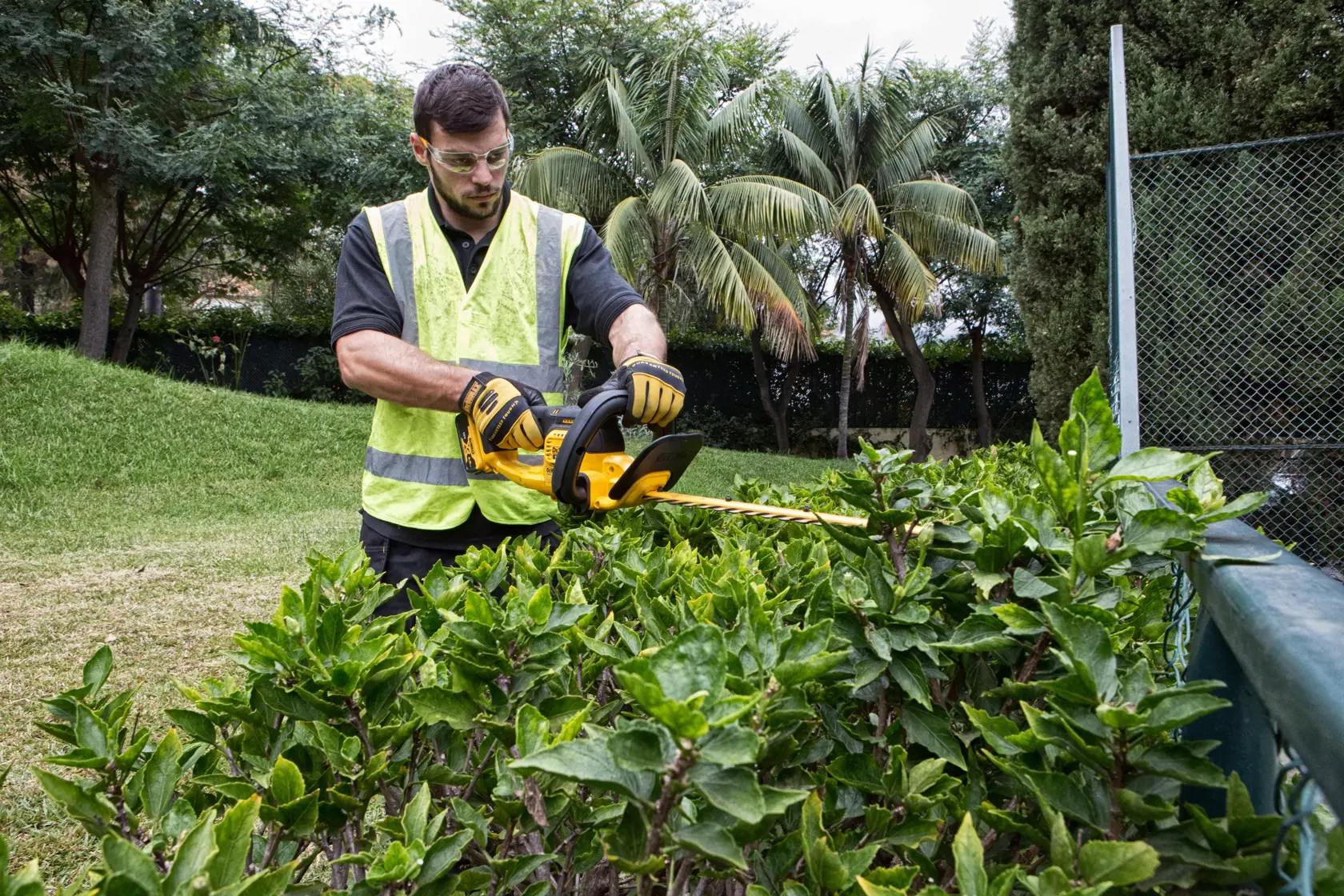 Nožnice na živé ploty 55 cm (19 mm odsadenie pílového listu) 18 V XR® DEWALT® - 1 x 5 Ah