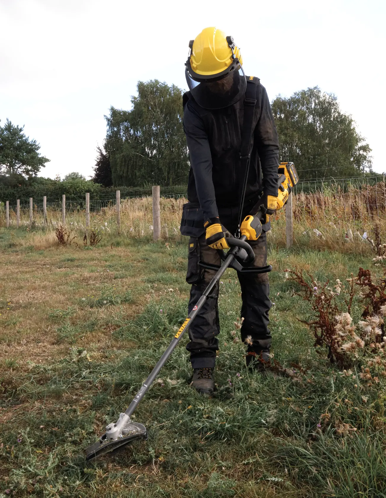 DEWALT brush cutter used outdoors. SKUs: DCMASED57X1, DCMASED9N, DCMASPH6N, DCMASPS5N, DCMASST1N, DCMASBC1N, DCMAS5713X1