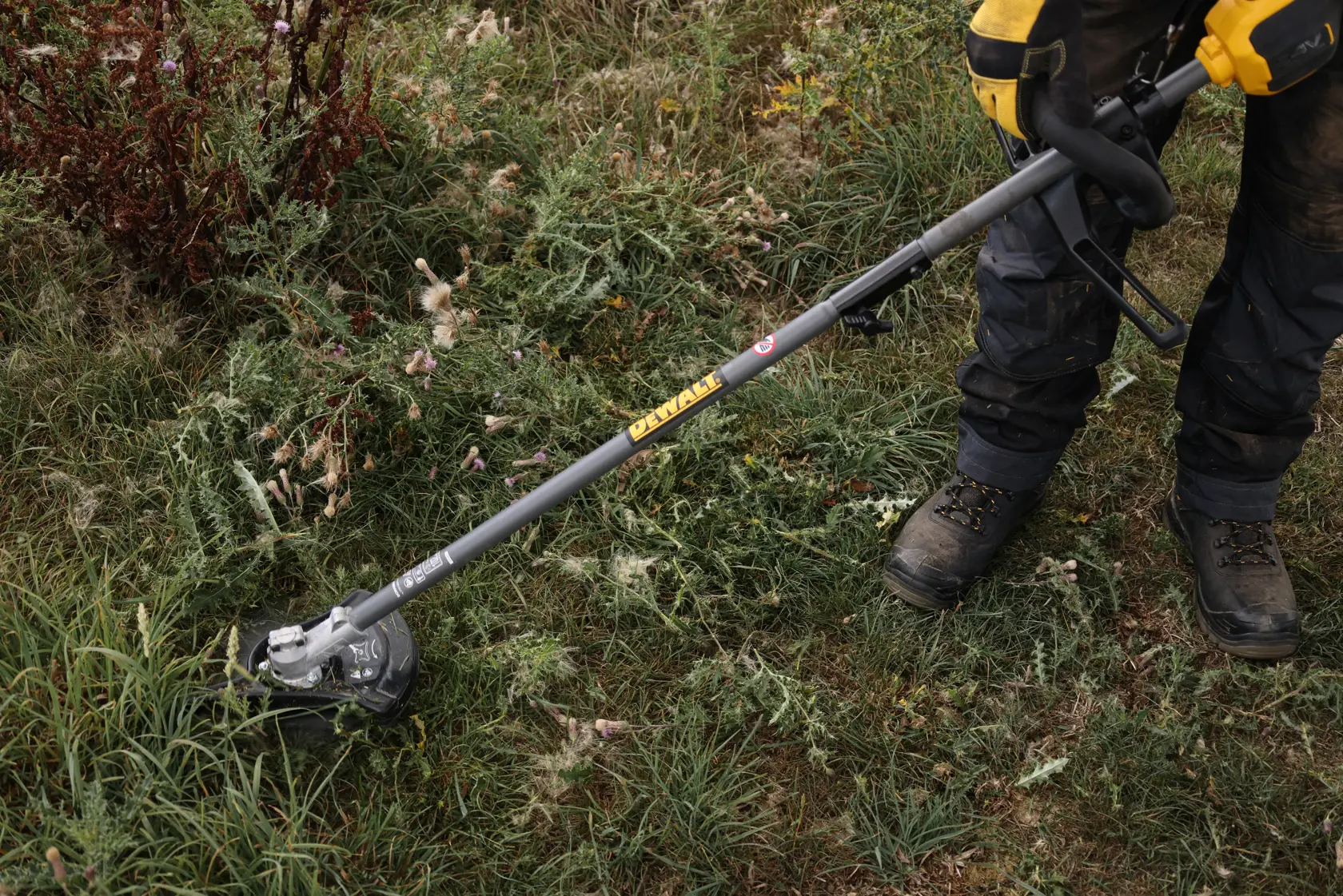 DEWALT garden tool in use. SKUs: DCMASED57X1, DCMASED9N, DCMASPH6N, DCMASPS5N, DCMASST1N, DCMASBC1N, DCMAS5713X1, DCMAS5713N.