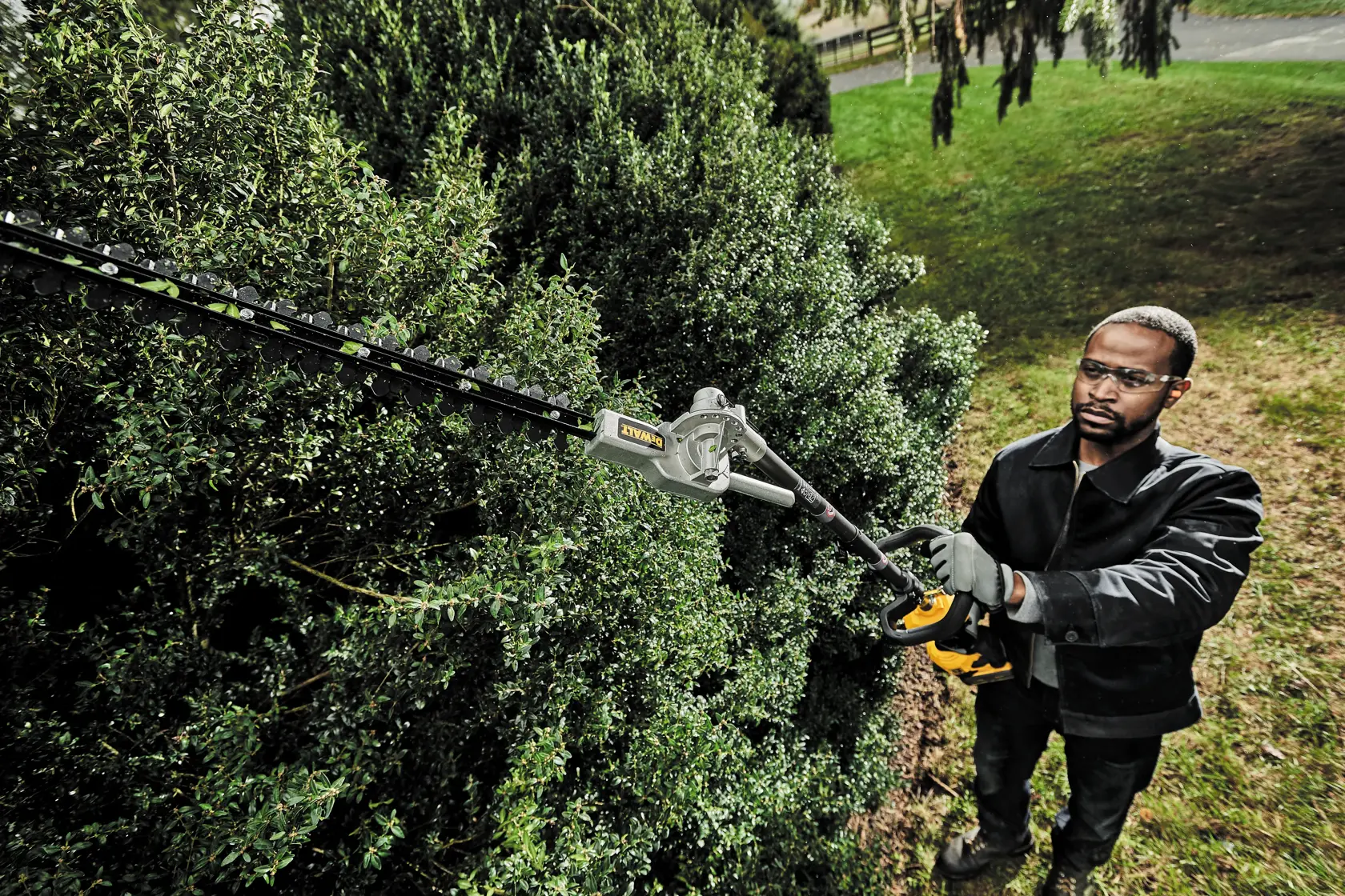 DEWALT hedge trimmer in use outdoors. SKUs: DCMASPH6N, DCZ65713X1-XE, DCMASPH6N-XJ.