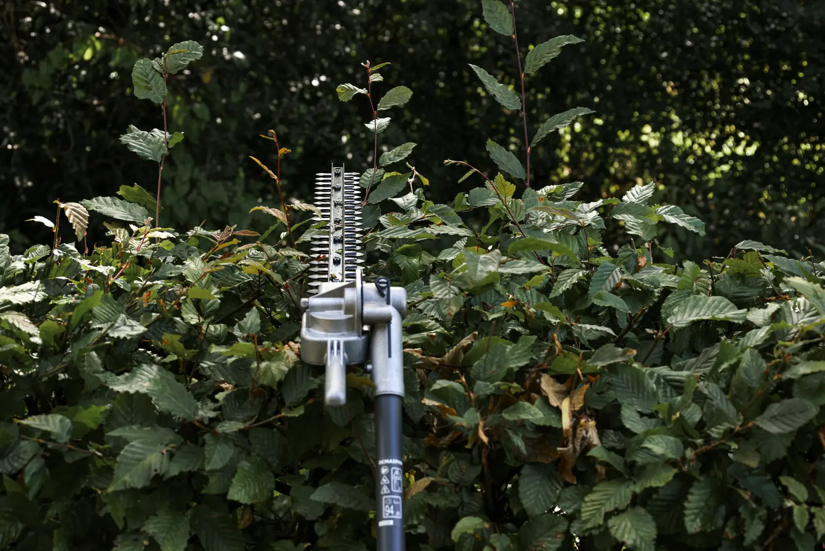 DEWALT hedge trimmer in use. Visible SKUs: DCMASPH6N, DCZ65713X1-XE, DCMASPH6N-XJ. Product category: Photography.
