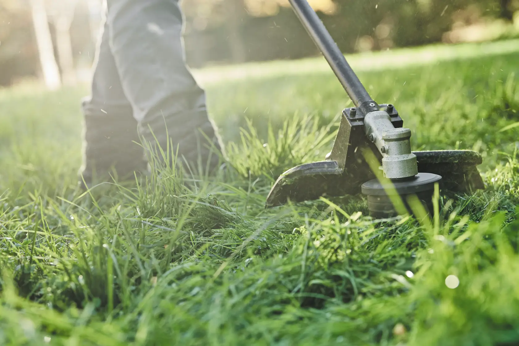DEWALT DCMASST1N, DCZ65713X1-XE, DCMASST1N-XJ string trimmer used on grass outdoors.