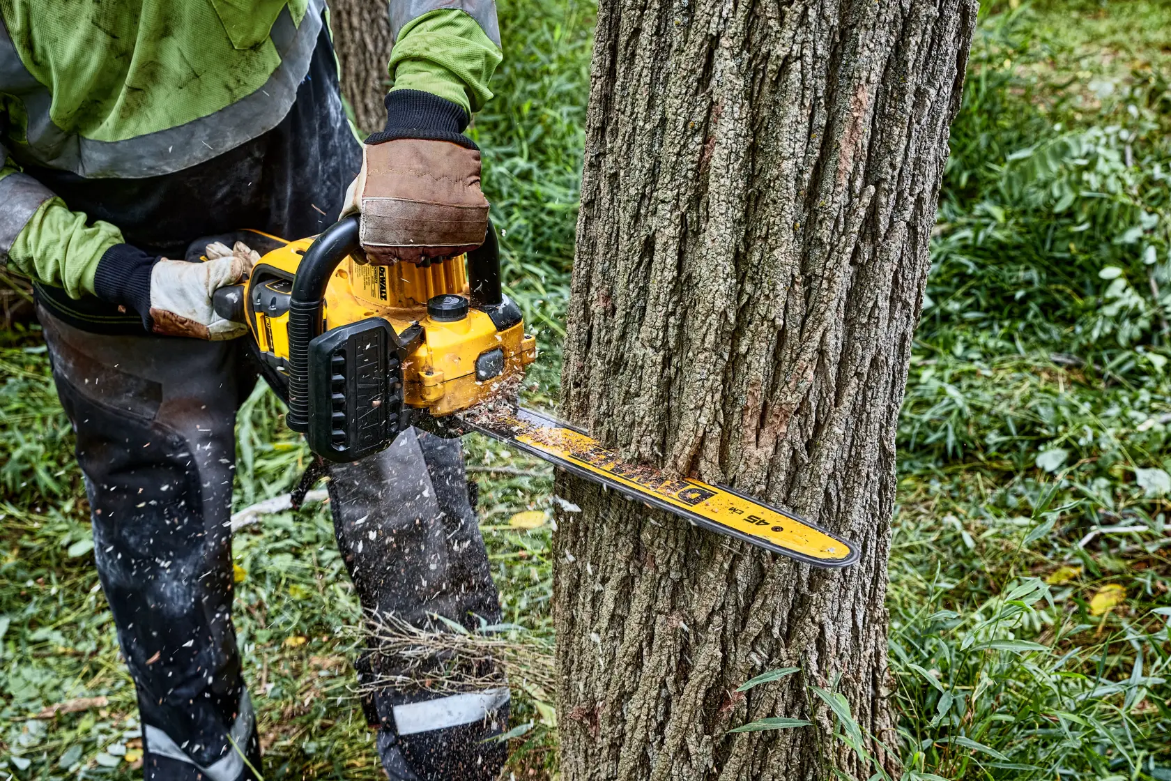 A person using a yellow DEWALT chainsaw to cut down a tree, with wood chips flying, in an outdoor forested area.