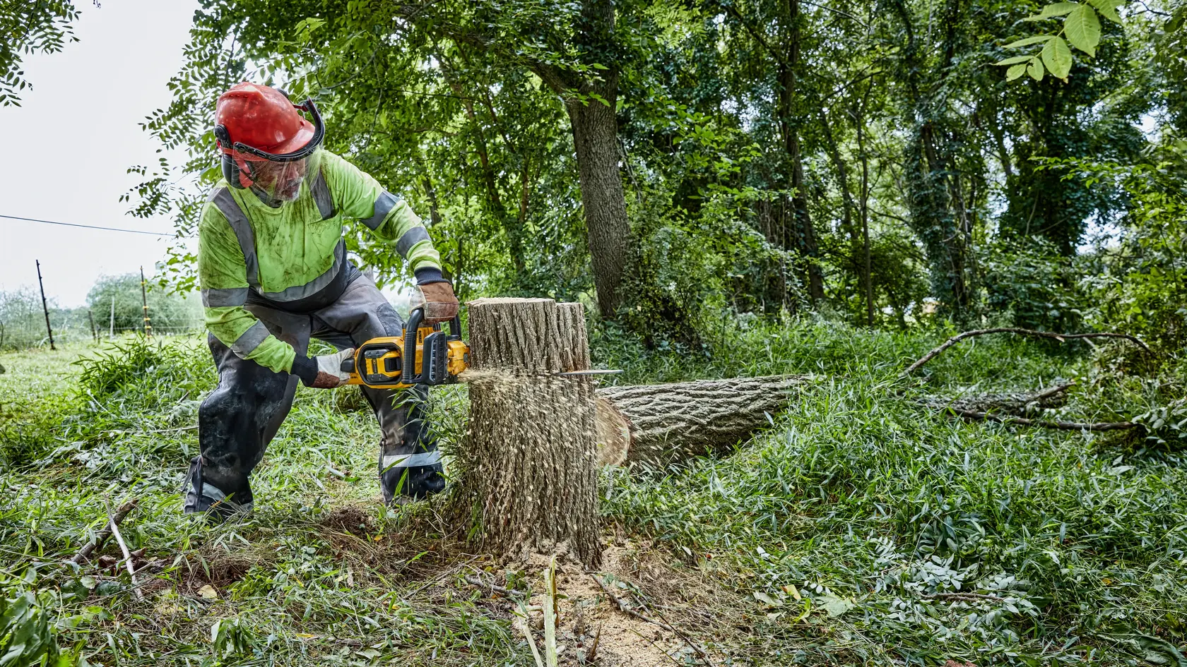 A person wearing safety gear uses a DEWALT cordless chainsaw to cut a fallen tree trunk in a forested outdoor area.