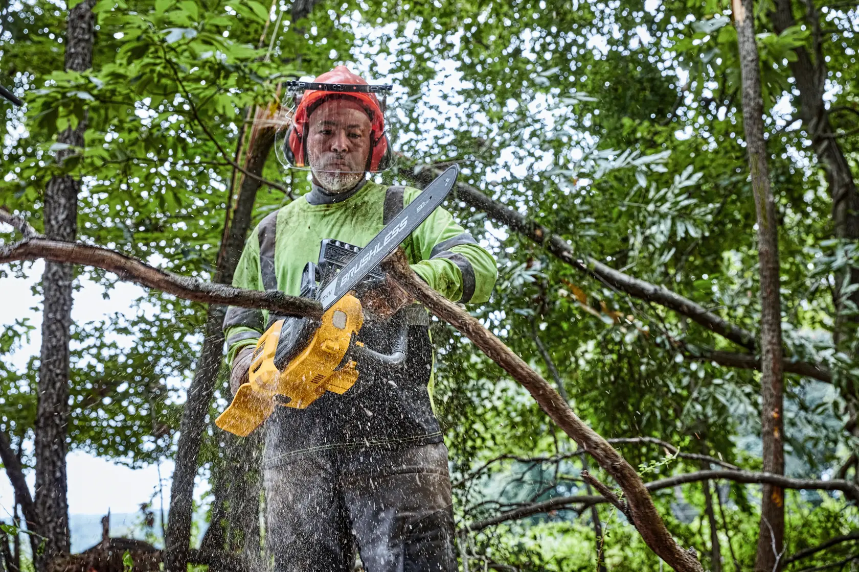 Una persona indossa dispositivi di protezione mentre utilizza una motosega a batteria DEWALT per tagliare un ramo d’albero all’aperto in una zona boschiva.