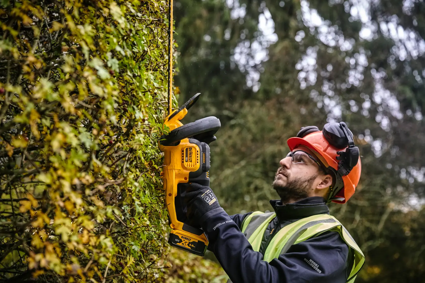 Person trims hedge with DEWALT DCMHT563P1 cordless hedge trimmer, wearing safety gear outdoors.