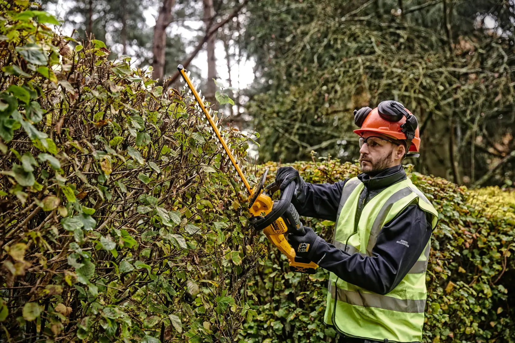 Person trimming hedge outdoors with a yellow DEWALT hedge trimmer, wearing safety gear and a reflective vest.