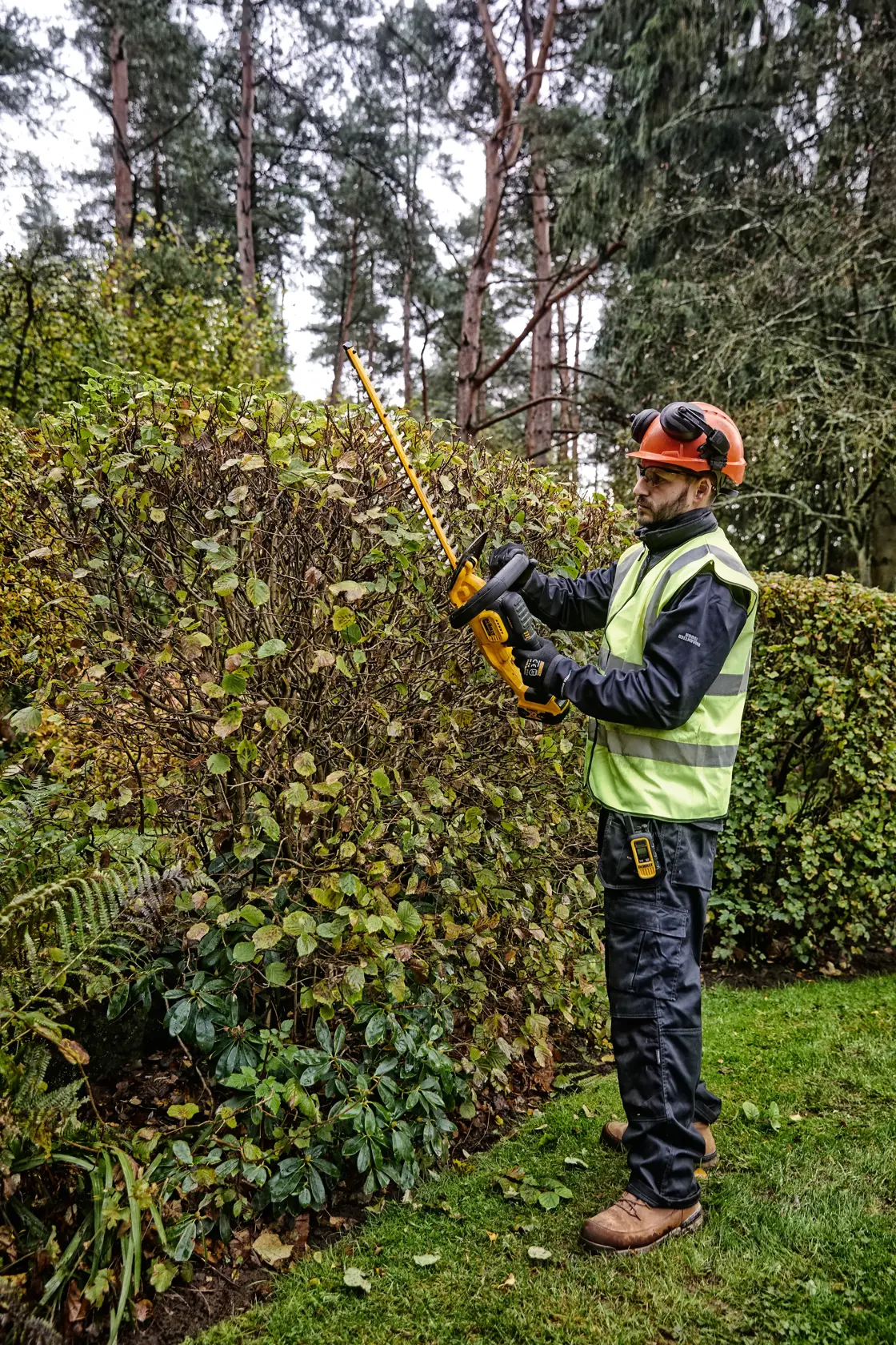 Worker trims hedge outdoors using DEWALT DCMHT563P1 cordless hedge trimmer; wearing safety vest and helmet.