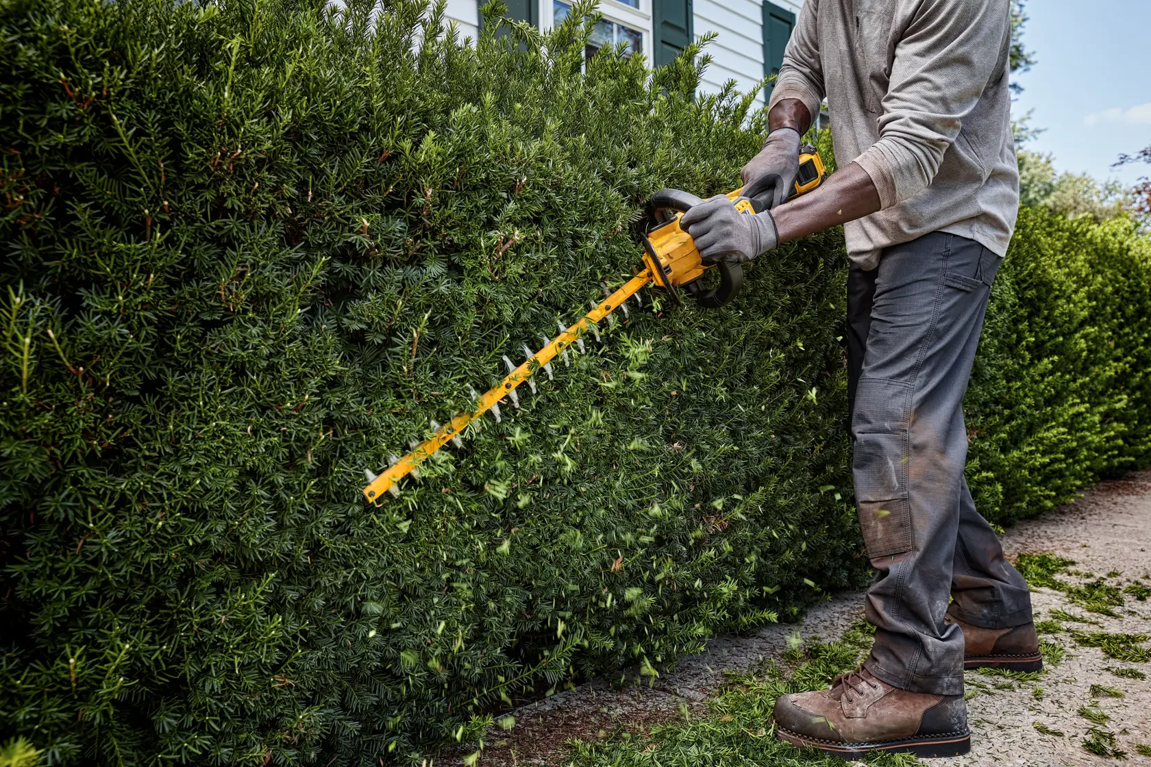 Persona taglia una siepe densa con un tagliasiepi DEWALT senza fili all'aperto.