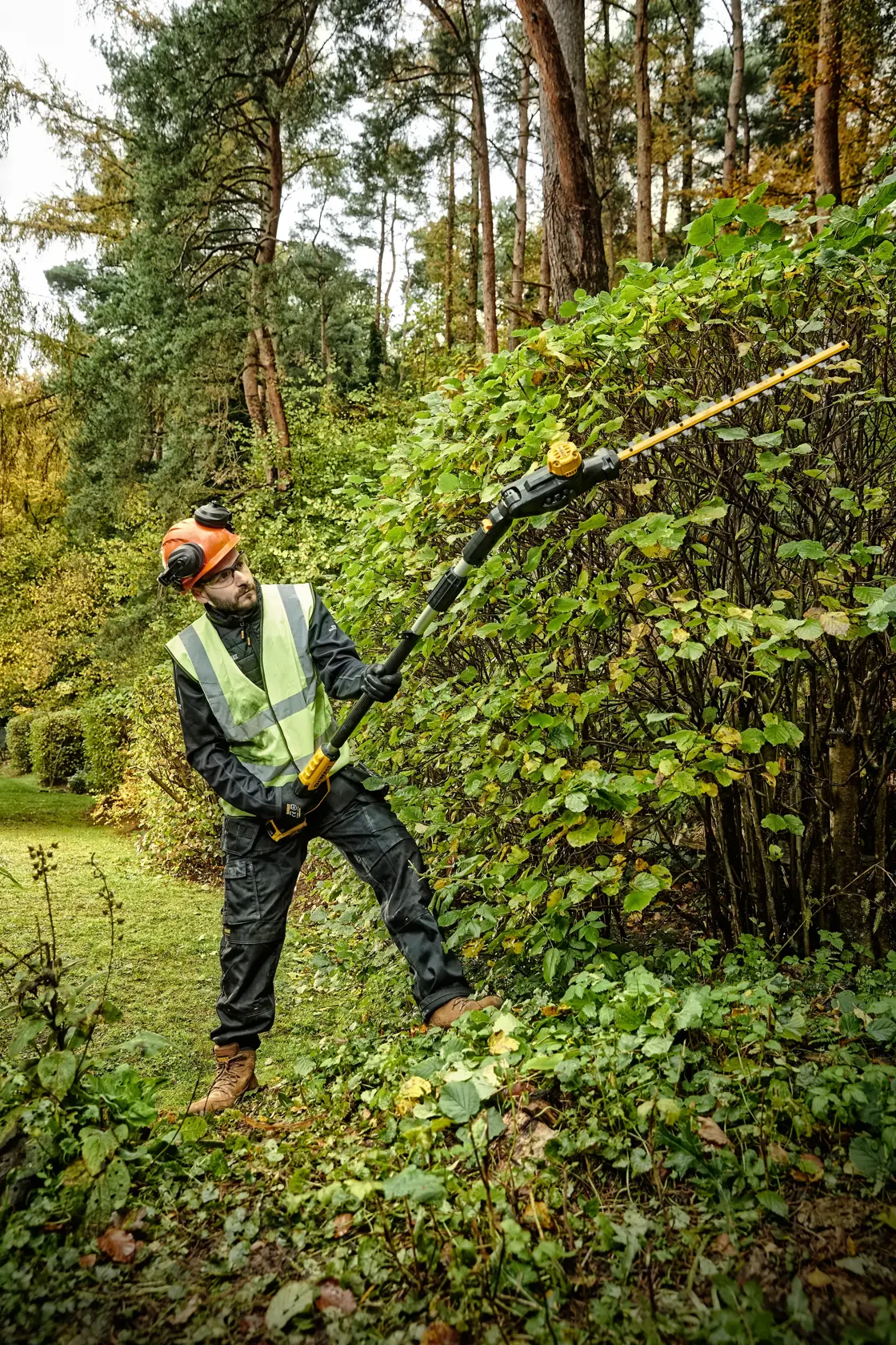 Person trimming tall bushes with a DEWALT pole hedge trimmer in a forest area, wearing safety gear and vest.