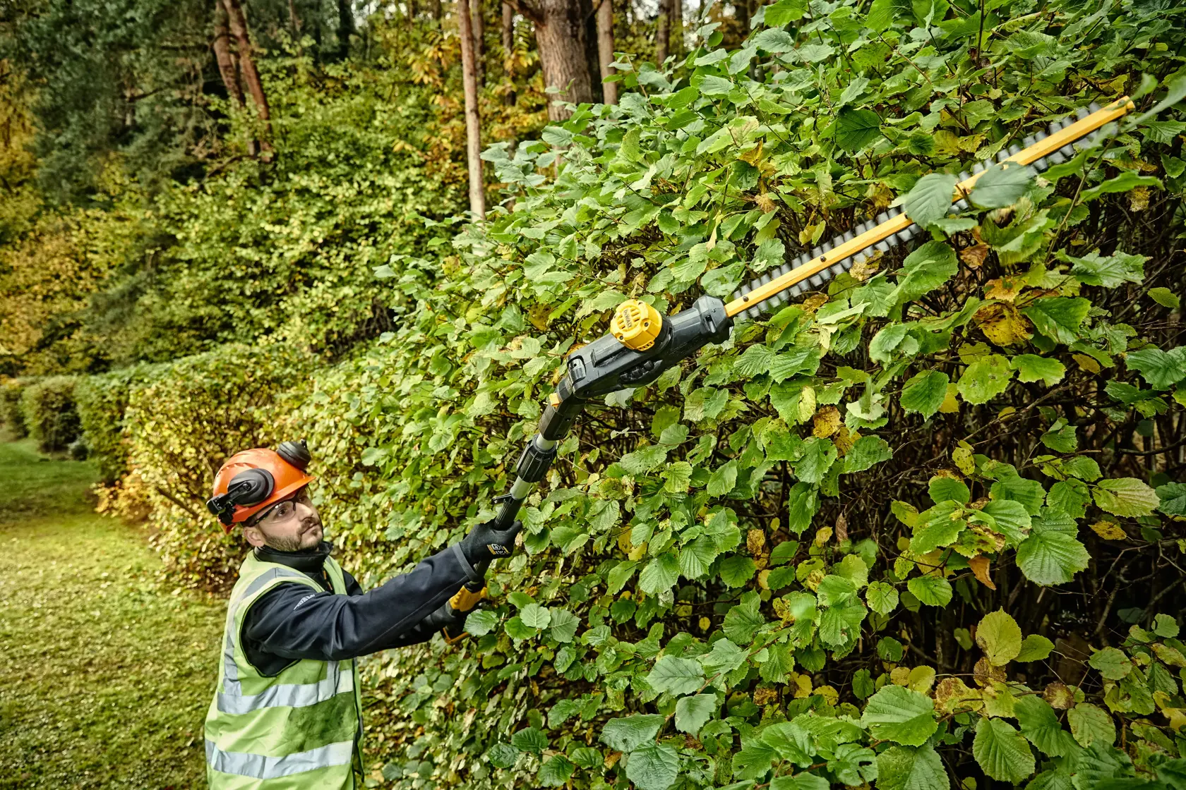 Person trimming tall hedge with DEWALT cordless pole hedge trimmer outdoors while wearing safety gear.