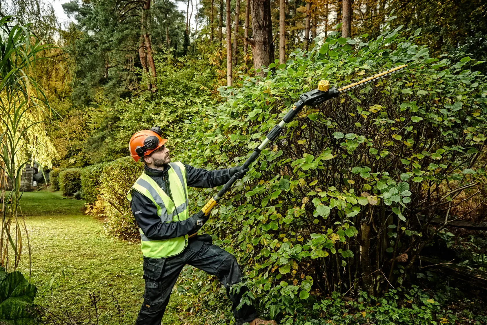 Person uses DEWALT pole hedge trimmer outdoors, cutting tall bushes while wearing safety gear.