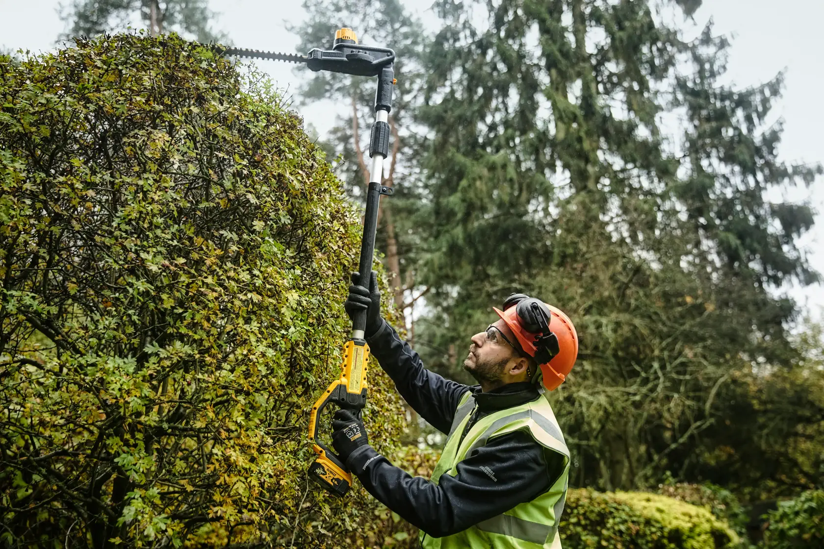 Person uses DEWALT cordless pole hedge trimmer outdoors, wearing safety gear and trimming tall hedges.