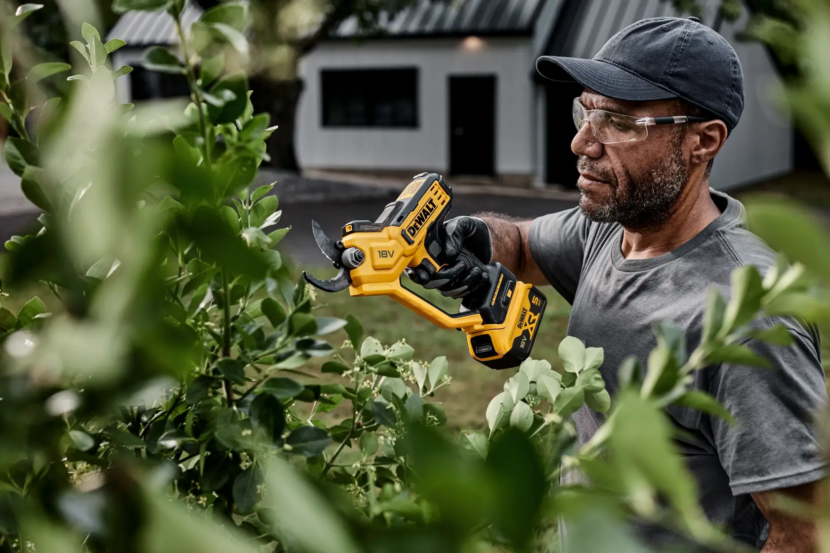 Person pruning bushes with a DEWALT 18V cordless pruner outdoors. Face is blurred for privacy.