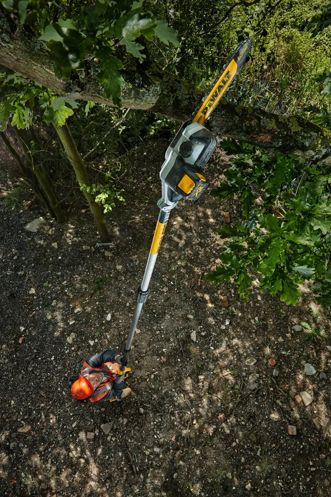 Person using a DEWALT DCMPS567N pole saw to trim high tree branches outdoors.