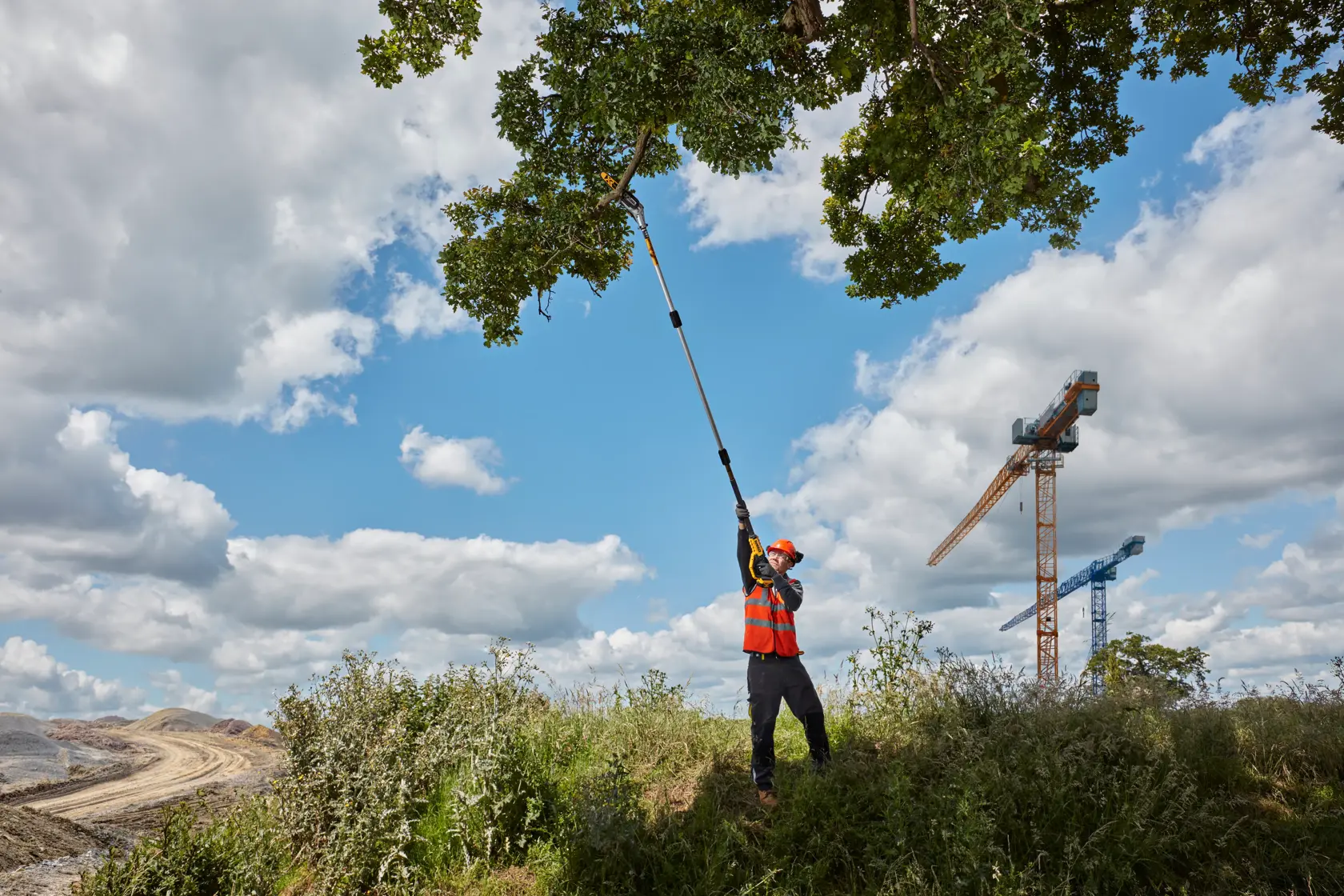Person trims tree branches with a DEWALT pole saw outdoors, wearing safety gear, cranes in the background.