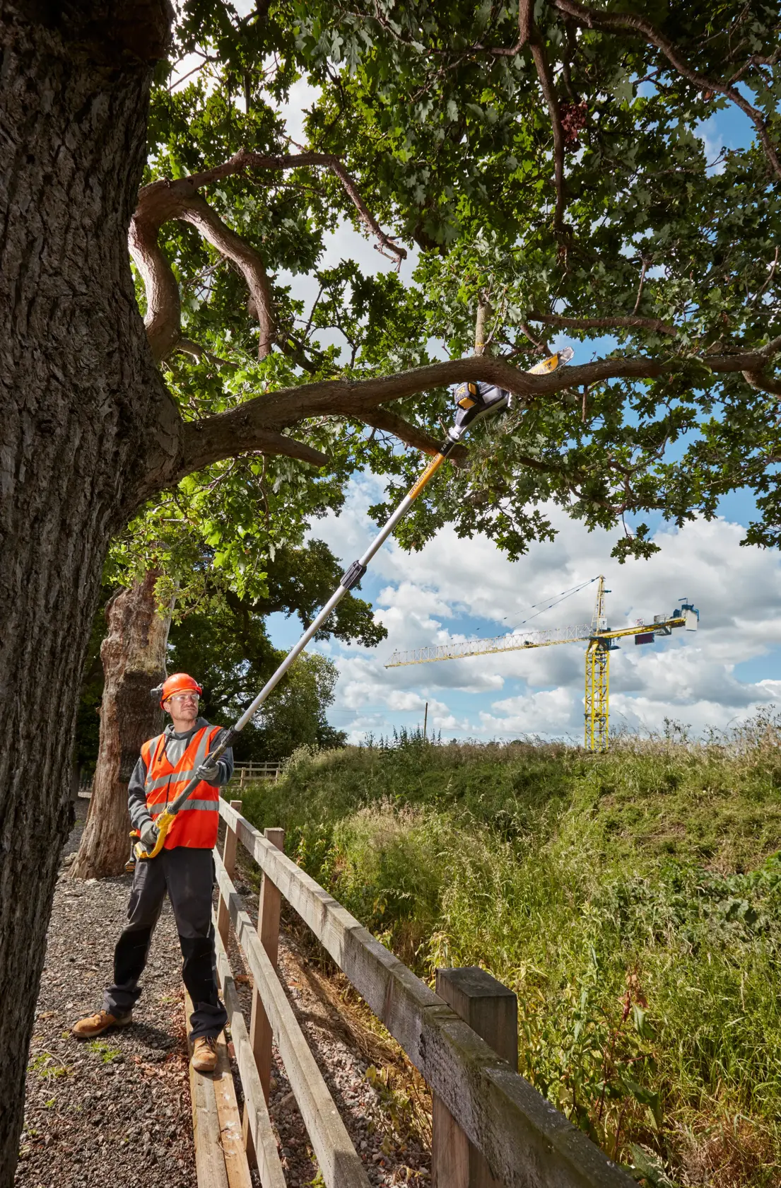 Worker using DEWALT pole saw to trim tree branches outdoors, wearing safety gear and hi-vis vest.
