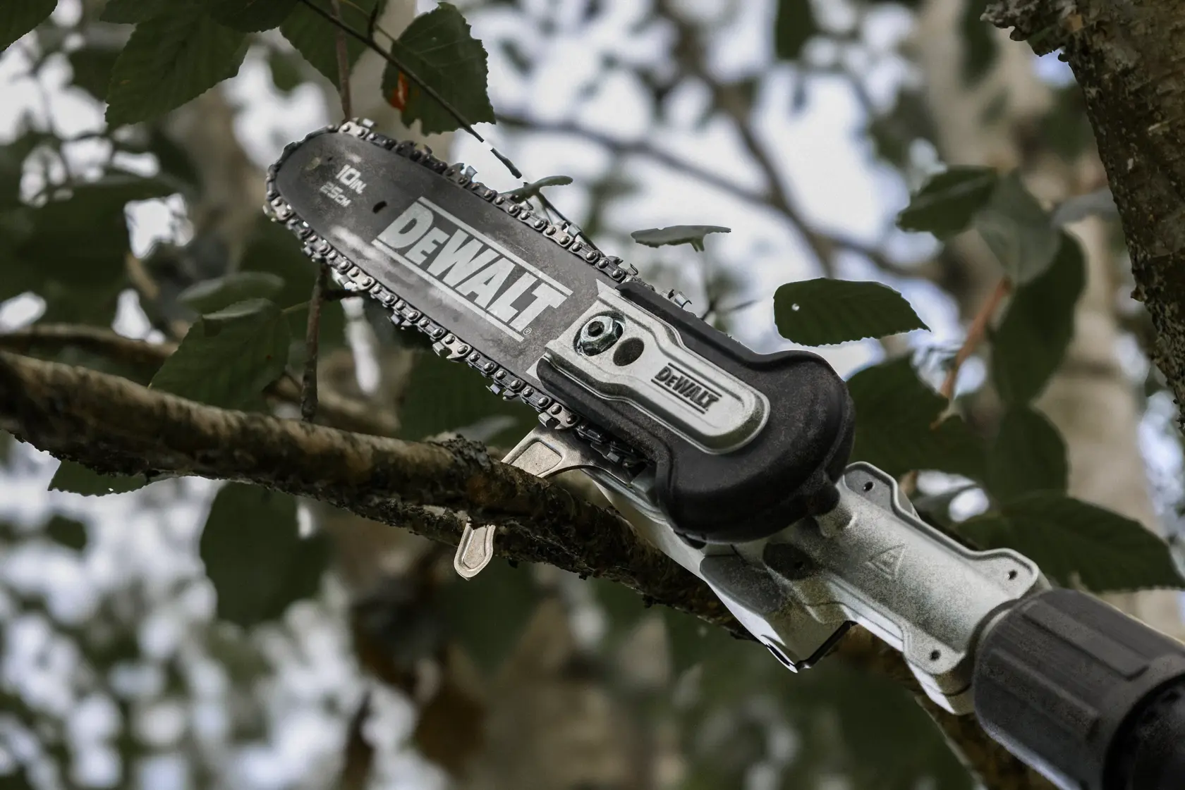 DEWALT pole saw trims a tree branch outdoors. Close-up of saw cutting wood.