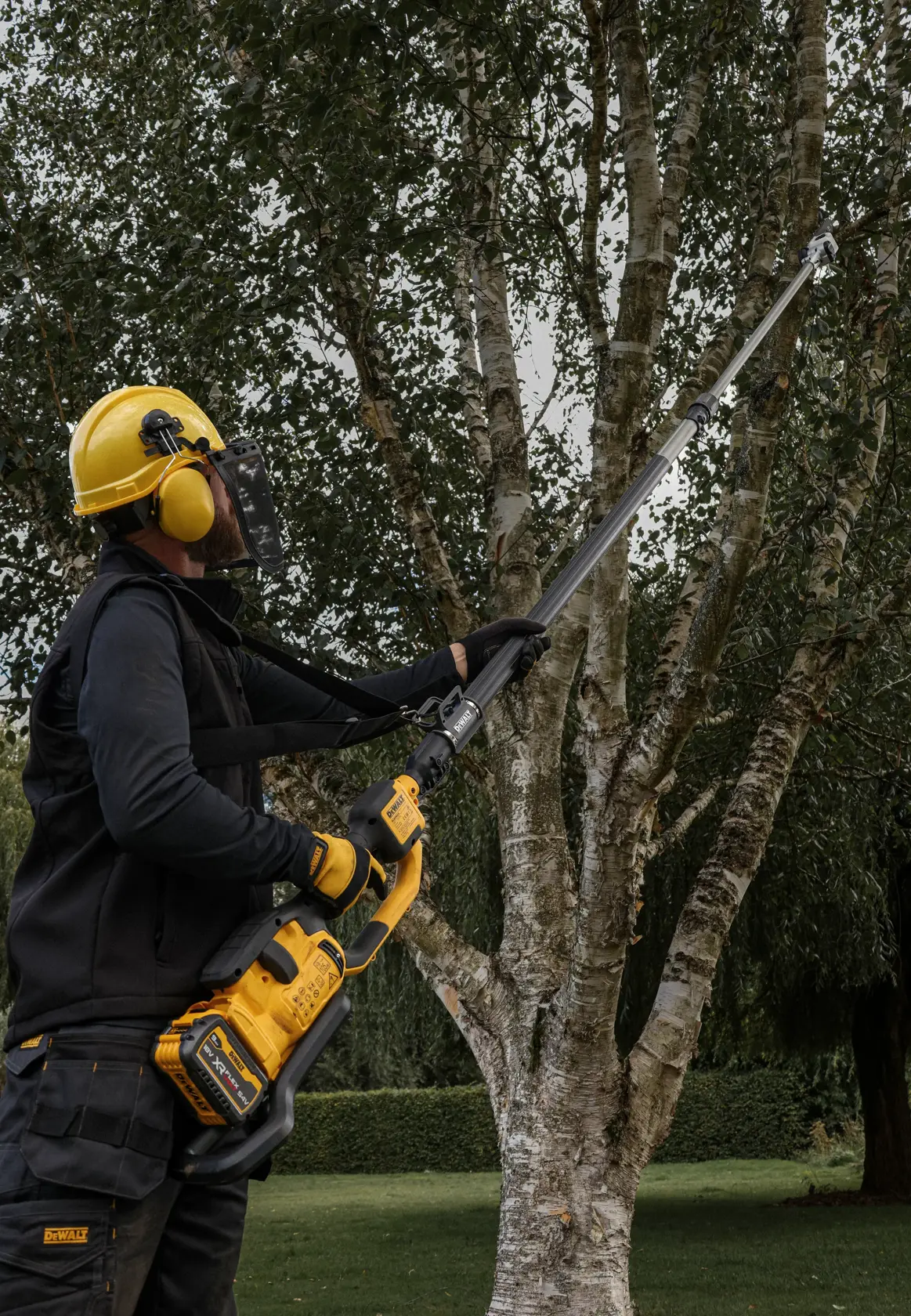 Person uses DEWALT pole saw to trim tree branches outdoors, wearing safety gear and helmet.